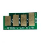 Chip 3300